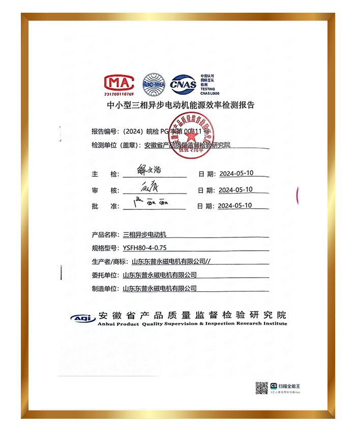 Dongpu Level 2 Energy Efficiency Testing Report+Energy Efficiency Label