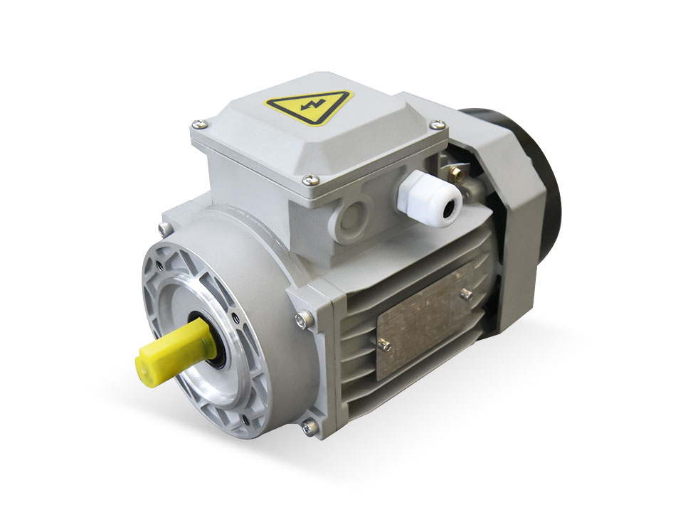 YE3-71M2-4-0.37 (1314) reducer motor